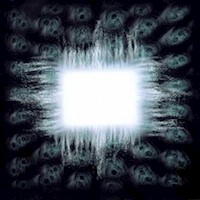 TOOL - Aenema Music man ed