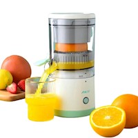 Fruta Naranja NARF009